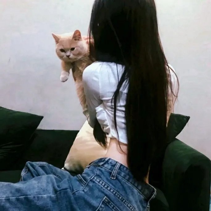 王牌二哈 在线观看